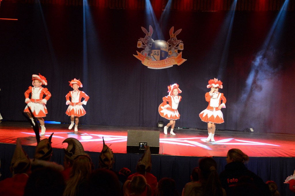 ../Images/Dansmarieke festival 2015 096.jpg